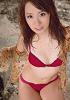 �R�{���̉摜306