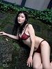 t}C 摜241