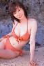 ���V�މ��̉摜